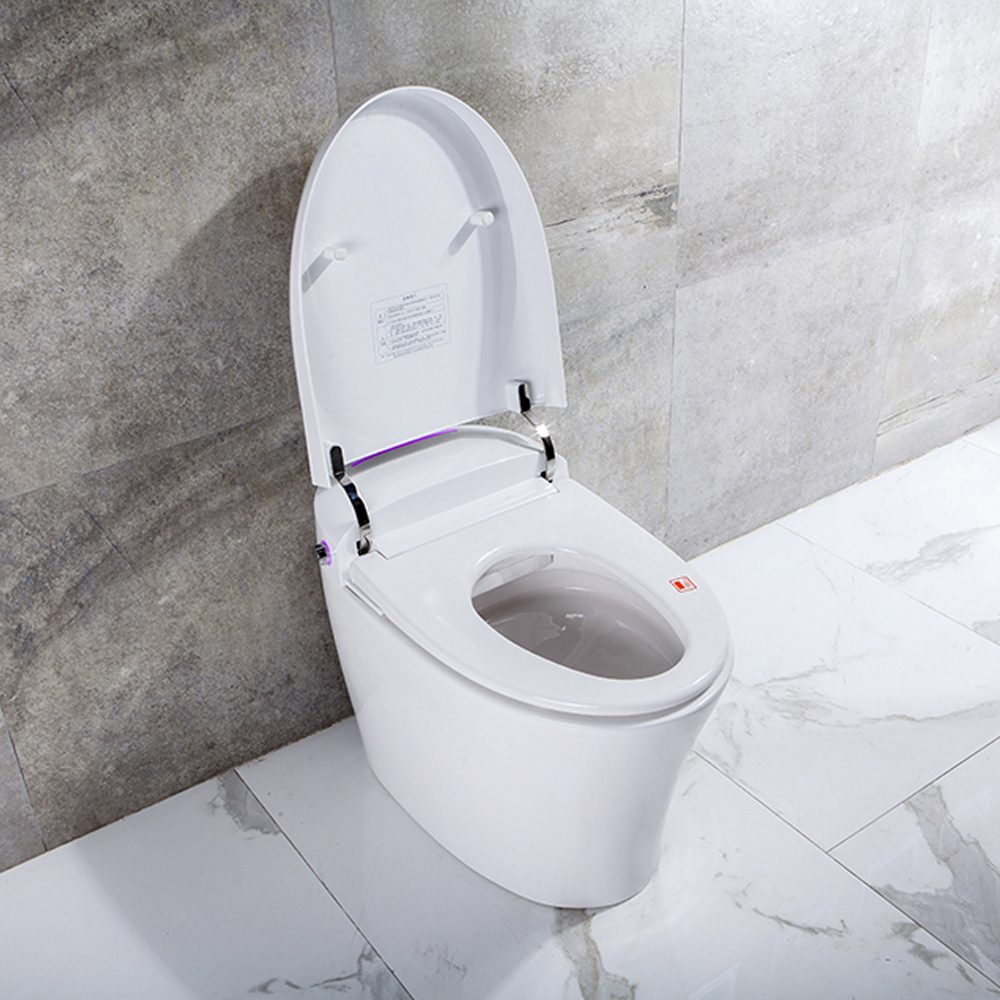 Transolid Bidet